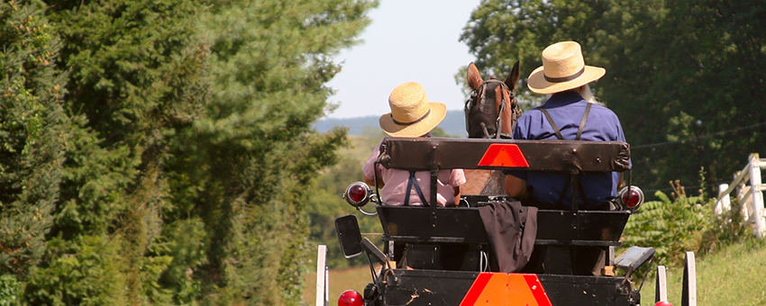 Amish on a buggy. 