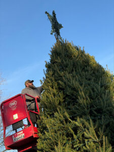 The 2024 LBC Christmas tree arrived on campus on Nov. 18.